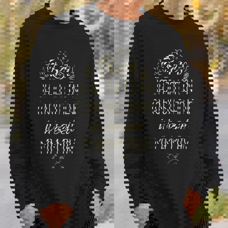 Lactation Consultant Best Lactation Consultant Sweatshirt Gifts for Him