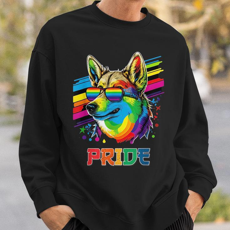 Lgbt Lesbian Gay Pride Swedish Vallhund Dog Sweatshirt Gifts for Him