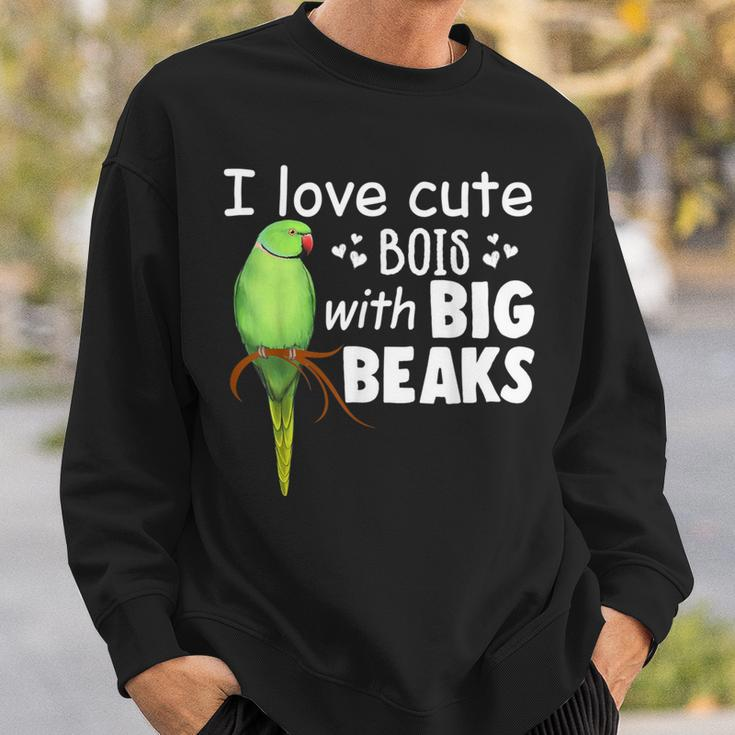 I Love Cute Bois With Big Beaks Birb Indian Ringneck Sweatshirt Gifts for Him