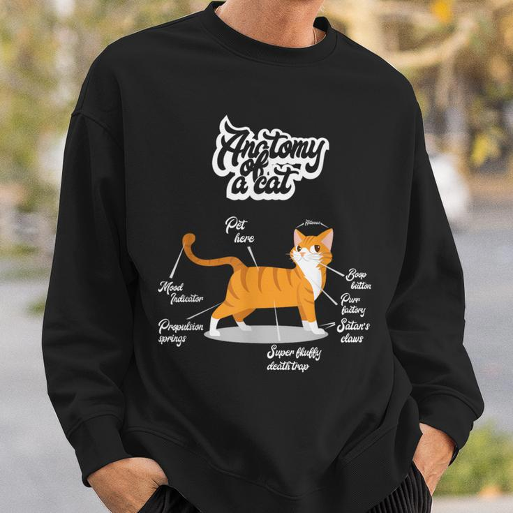 Orange Tabby Cat Anatomy Of A Cat Cute Present Sweatshirt Gifts for Him