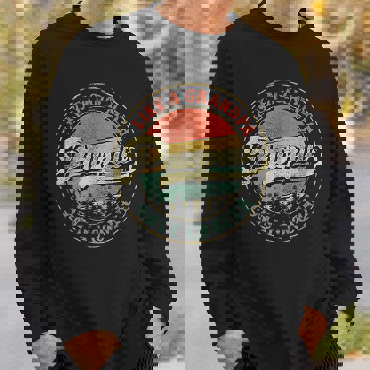Pawpaw Like A Grandpa Only Cooler Vintage Retro Pawpaw Dad Gift For Mens Sweatshirt Gifts for Him