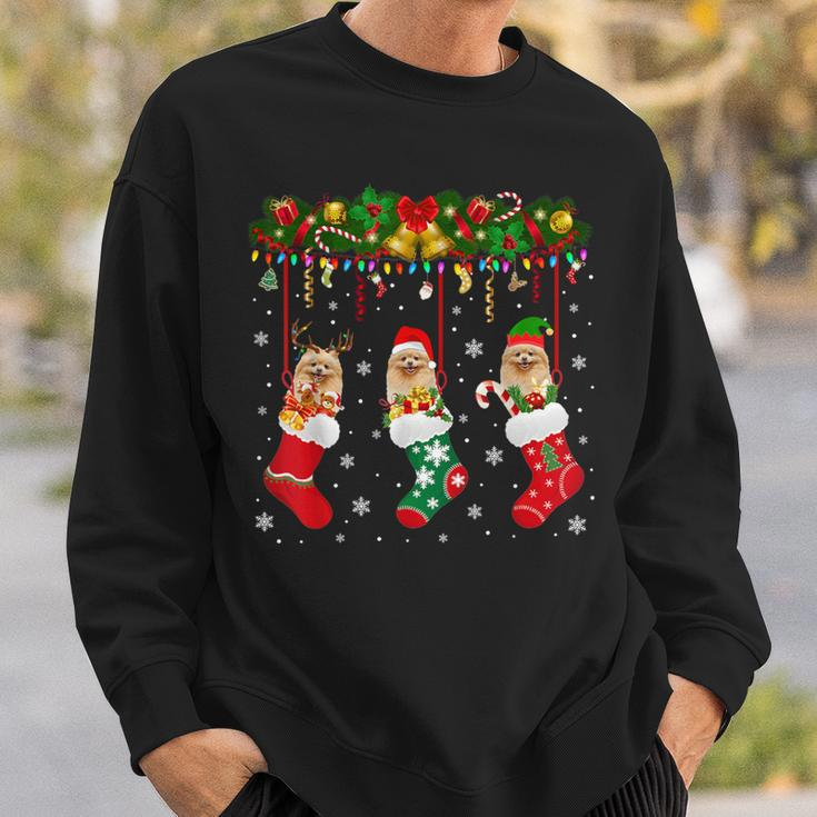 Pomeranian In Sock Xmas Reindeer Santa Elf Dog Sweatshirt Gifts for Him