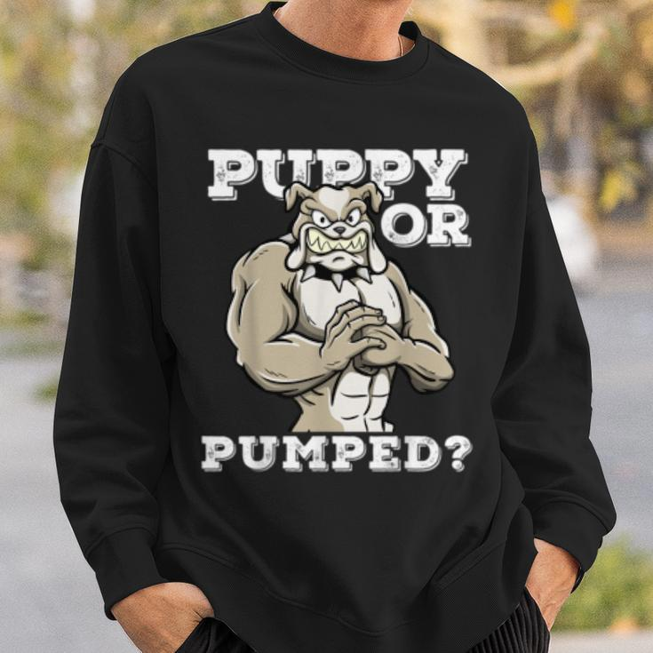 Puppy Or Pumped Motivational Dog Pun Workout Bulldog Gift Sweatshirt Gifts for Him