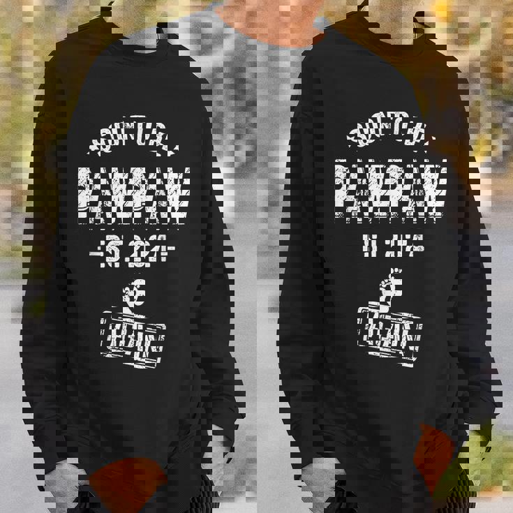 Soon To Be Pawpaw Again Promoted To Pawpaw Again 2024 Sweatshirt Gifts for Him