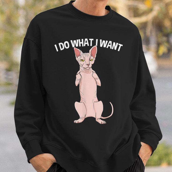 Sphynx Cat Showing Middle Finger I Do What I Want Sweatshirt Gifts for Him