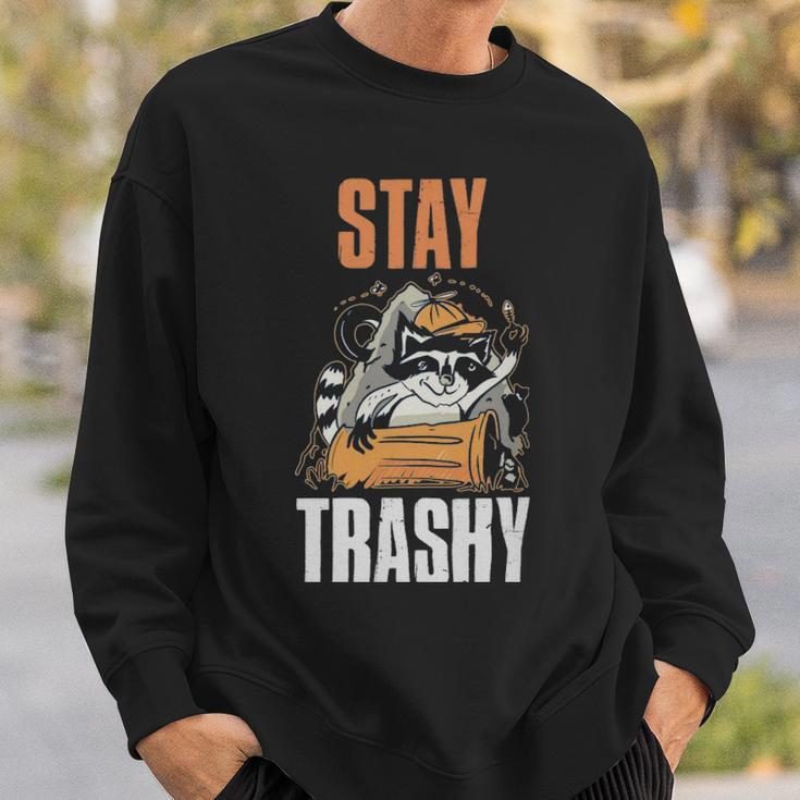 Stay Trashy Raccoon Funny Raccoon Gift - Stay Trashy Raccoon Funny Raccoon Gift Sweatshirt Gifts for Him