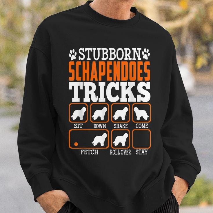 Stubborn Schapendoes Dog Tricks Puppy Dogs Lover Sweatshirt Gifts for Him