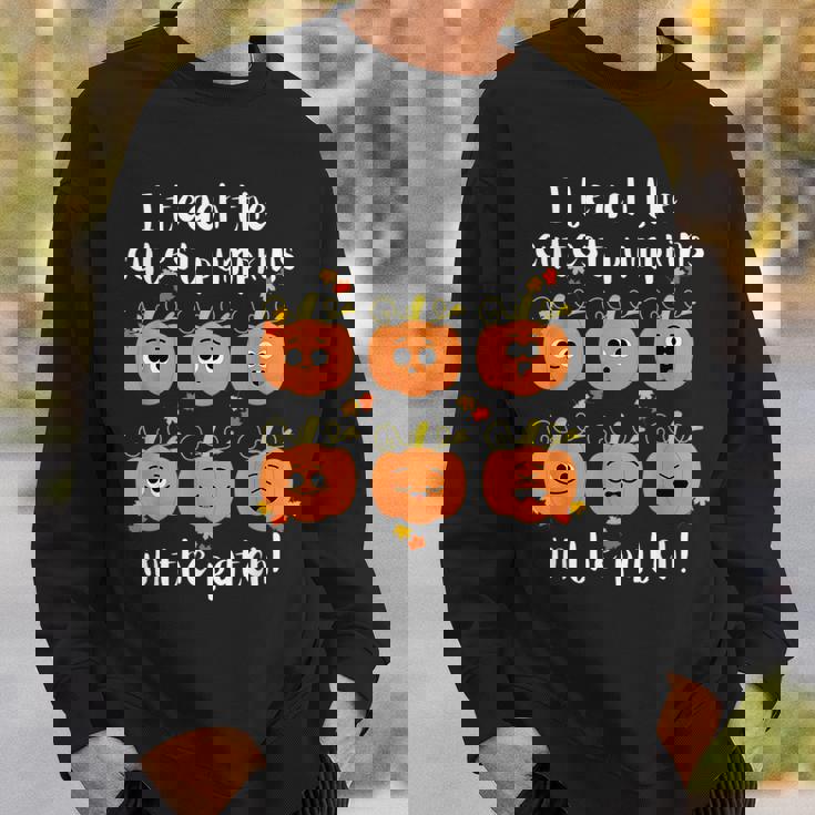 I Teach The Cutest Pumpkins In The Patch My Pumpkin Class Pumpkin Sweatshirt Gifts for Him