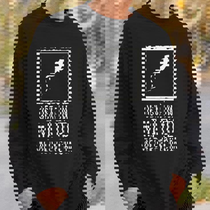 This Is A Very Old Photo Of Me Sperm Image Italian Words Sweatshirt Gifts for Him