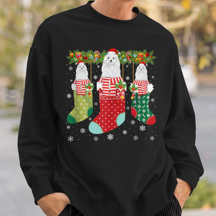 Three Maltese Dog In Socks Ugly Christmas Sweater Party Sweatshirt Gifts for Him
