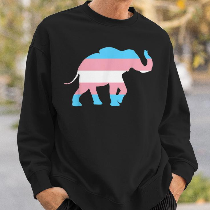 Transgender Elephant Trans Pride Flag Ftm Mtf Elephant Lover Sweatshirt Gifts for Him