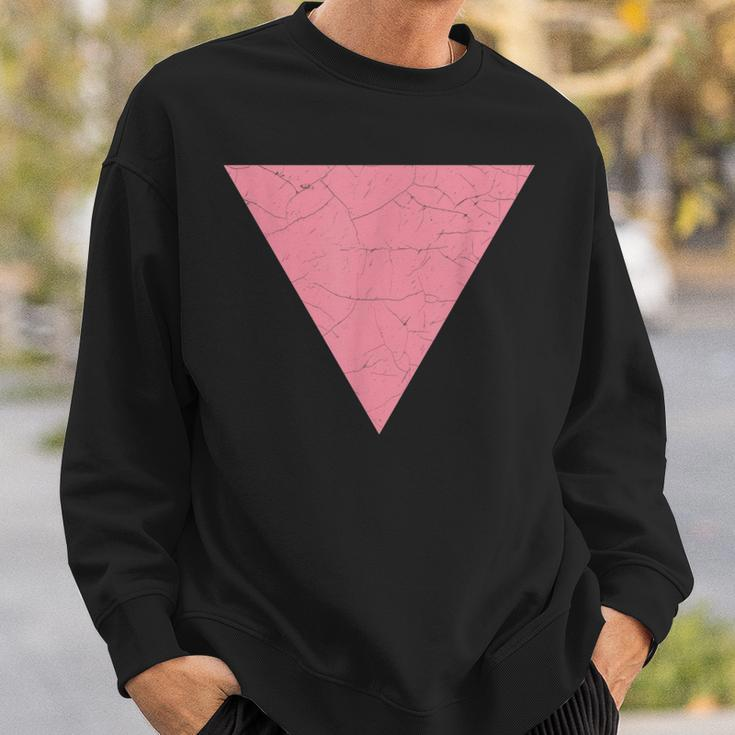Vintage Gay Pride Pink Triangle Vintage Lgbt Flag Sweatshirt Gifts for Him