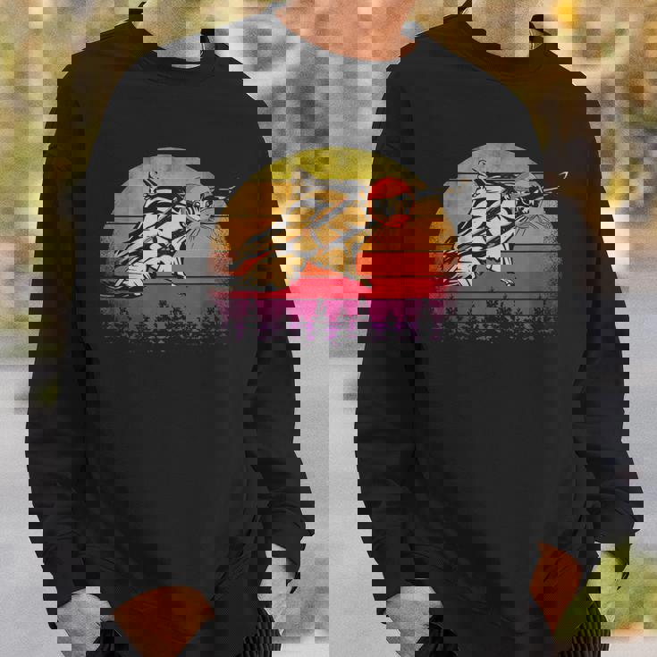 Vintage Sunset Squirrel Flying On Retro Sweatshirt Gifts for Him