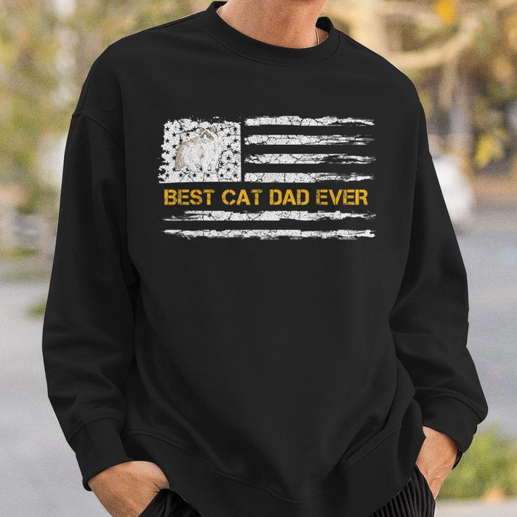 Vintage Usa American Flag Best Ragdoll Dad Ever Kitty Lover Sweatshirt Gifts for Him