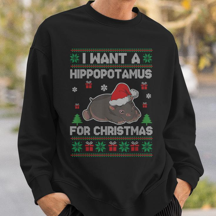 I Want A Hippopotamus For Christmas Ugly Xmas Sweater Hippo Sweatshirt Gifts for Him
