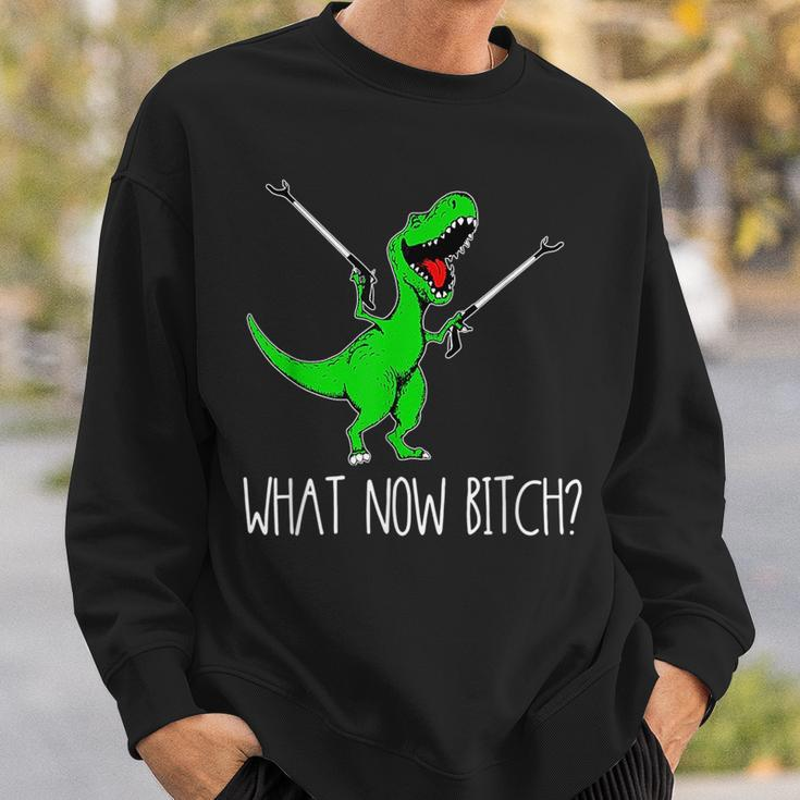 What Now Bitch FunnyRex Dinosaur Sweatshirt Gifts for Him