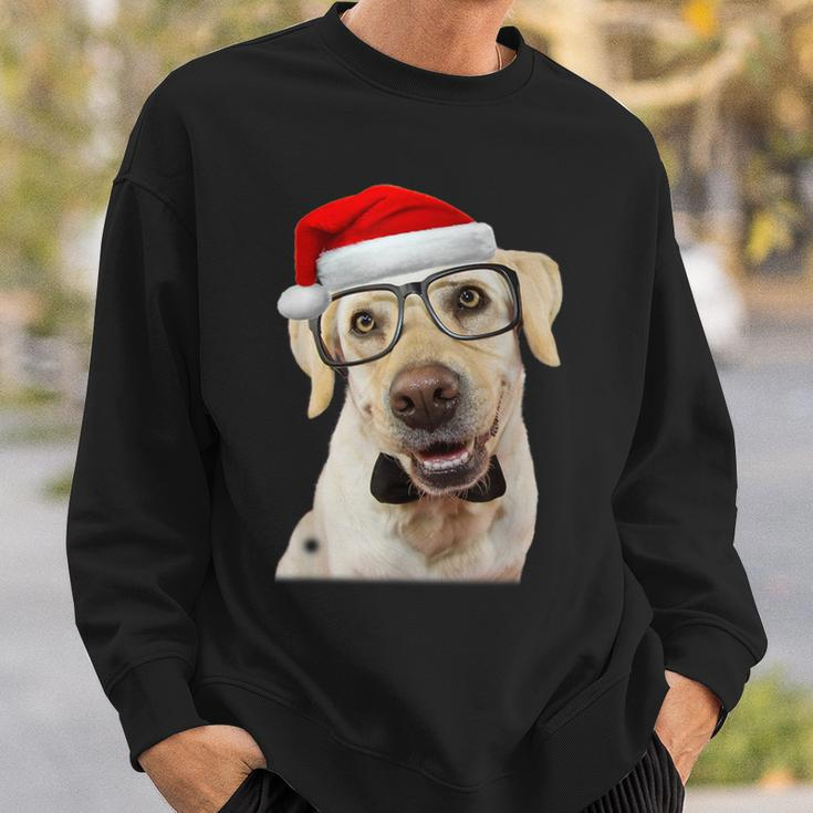 Yellow Lab Glasses Santa Hat Christmas Labrador Retriever Sweatshirt Gifts for Him