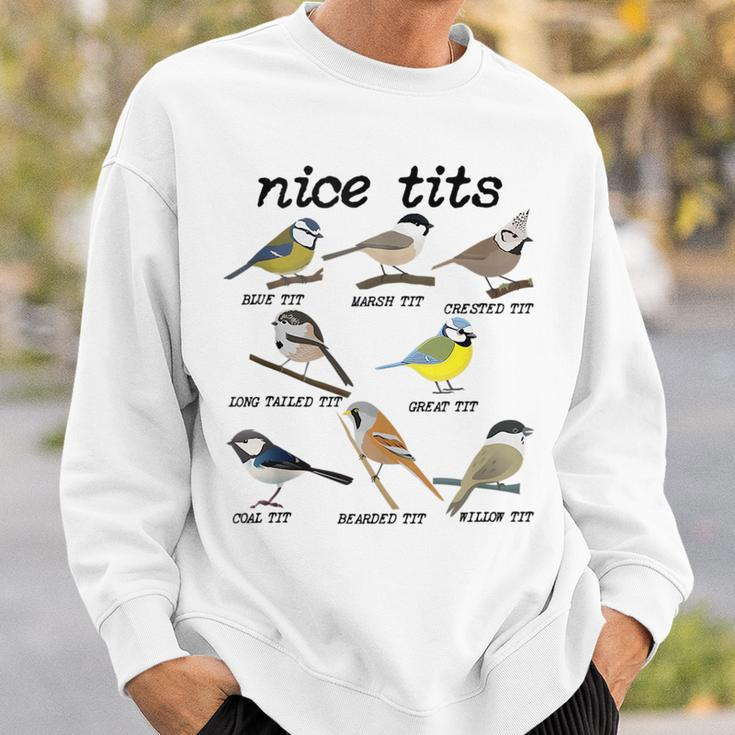 Nice Tits Funny Bird Watching Funny Tit Birds Birdwatcher Gifts For Bird Lovers Funny Gifts Sweatshirt Gifts for Him