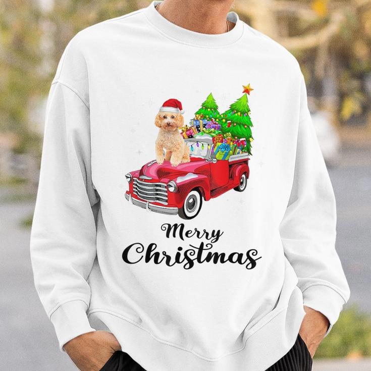 Poodle Ride Red Truck Christmas Pajama Sweatshirt Gifts for Him