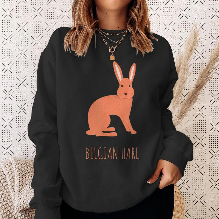 Belgian Hare Rabbit Stone Rabbits Bun Bunny Sweatshirt Gifts for Her