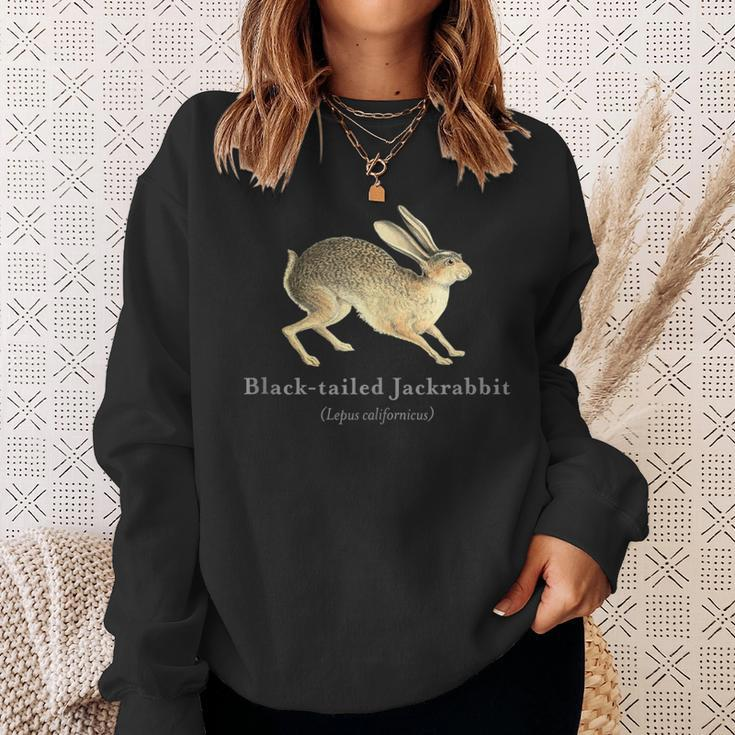 Black-Tailed Jackrabbit Portrait With Scientific Name Sweatshirt Gifts for Her