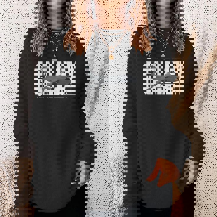 C5 Galaxy Sweatshirt Gifts for Her