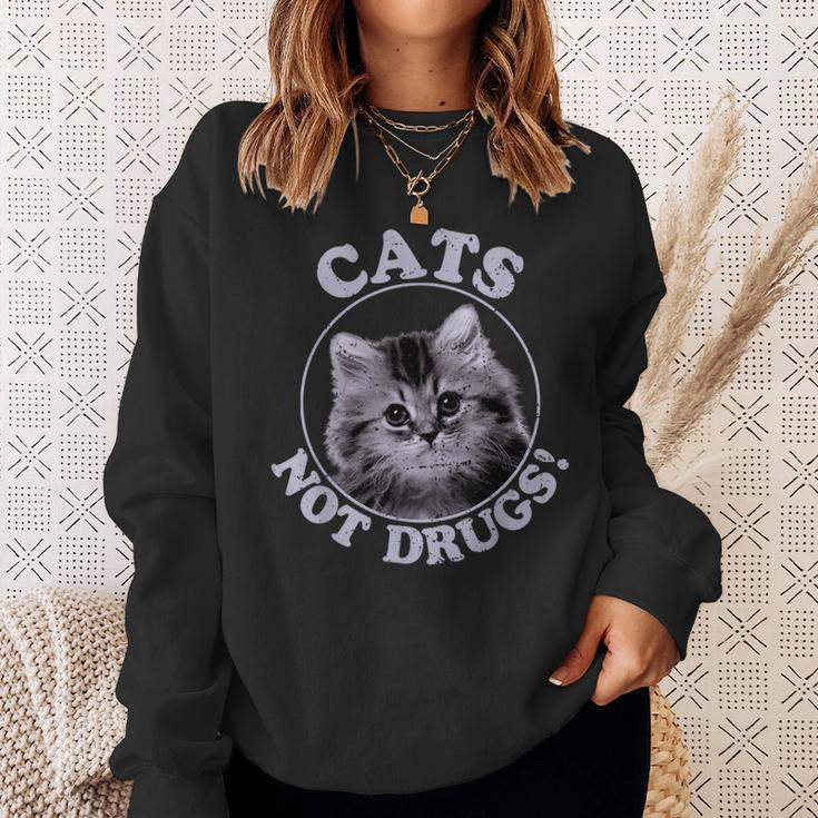Cats Not Drugs Munchkin British Longhair Sweatshirt Gifts for Her