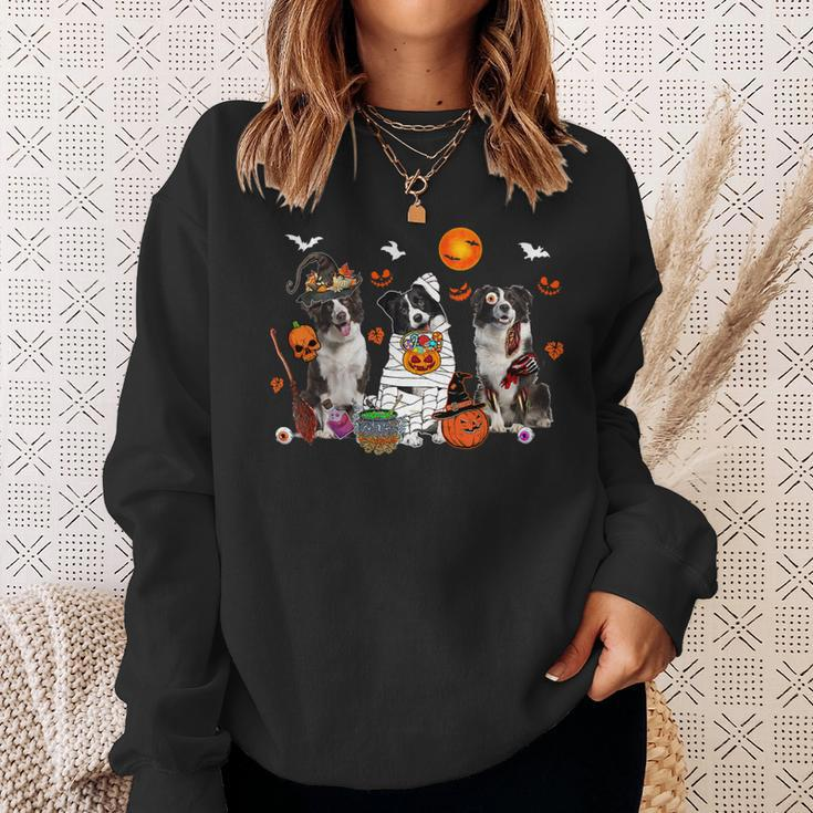 Dog Border Collie Three Border Collie Dogs Witch Scary Mummy Halloween Zombie Sweatshirt Gifts for Her