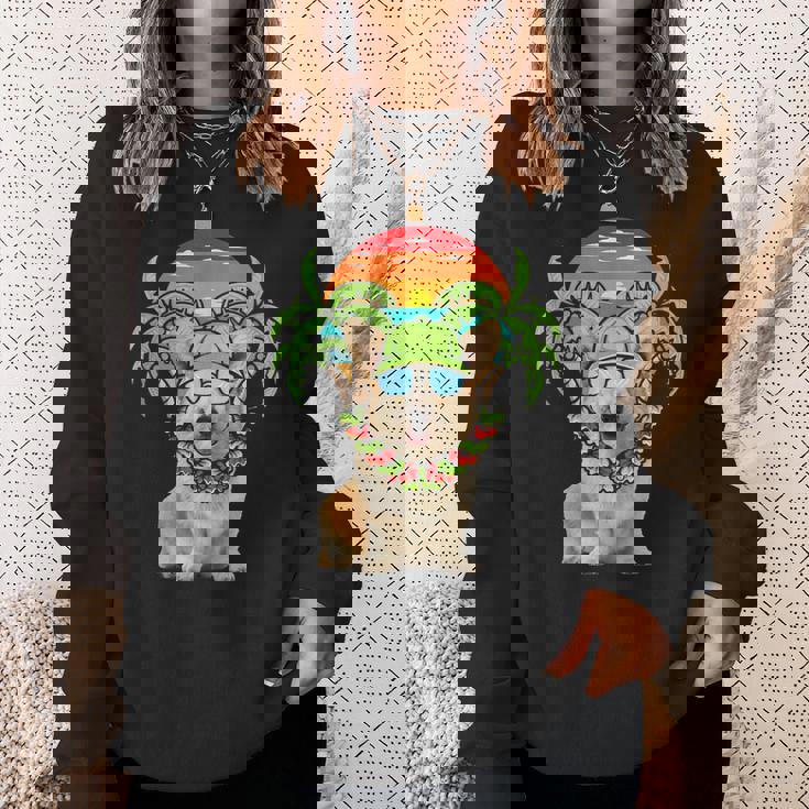 Hawaiian Corgi Dog Wearing Sunglasses Sunset On Beach Summer Sweatshirt Gifts for Her Hawaiian Corgi Dog Wearing Sunglasses Sunset On Beach Summer Sweatshirt Gifts for Her