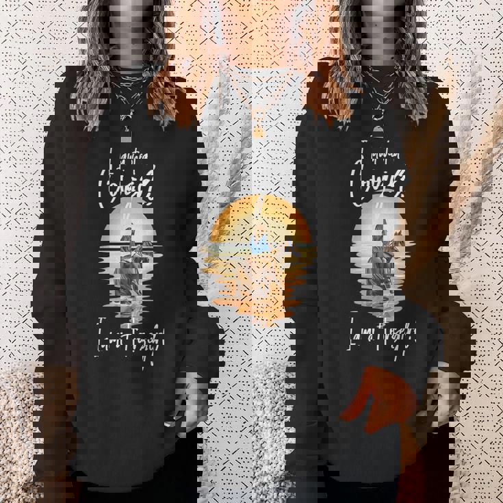 I Am Not A Cowgirl I Am A Horsegirl Horse Equestrians Sweatshirt Gifts for Her