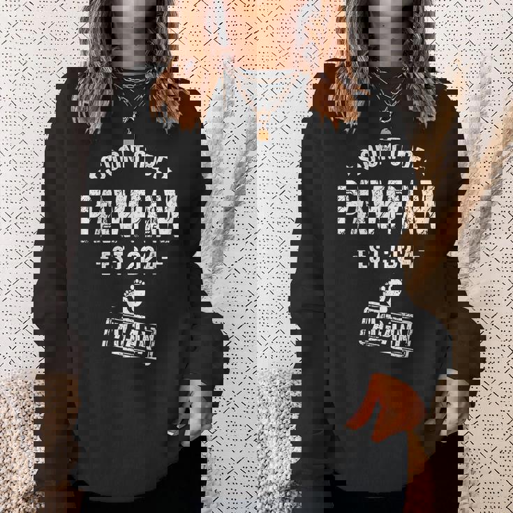 Soon To Be Pawpaw Again Promoted To Pawpaw Again 2024 Sweatshirt Gifts for Her