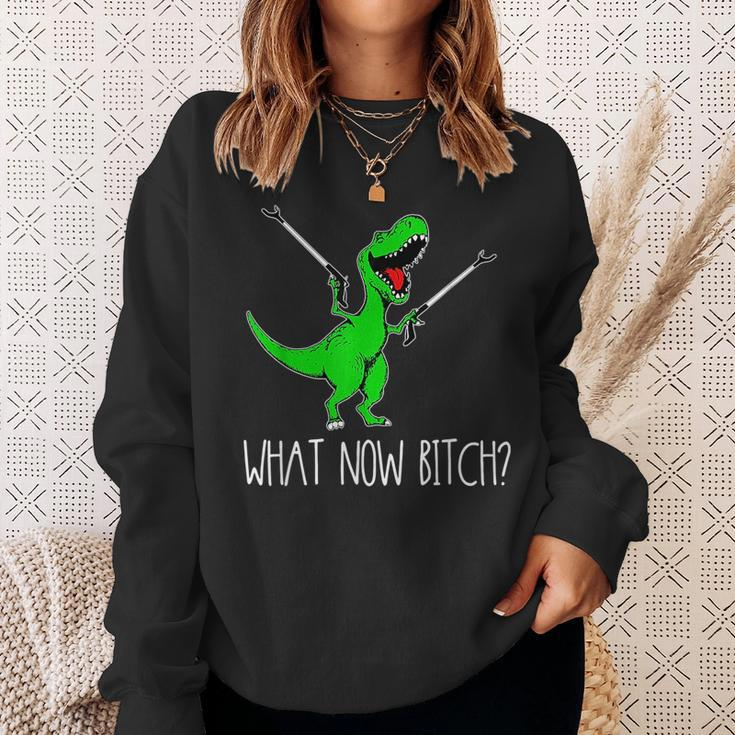 What Now Bitch FunnyRex Dinosaur Sweatshirt Gifts for Her