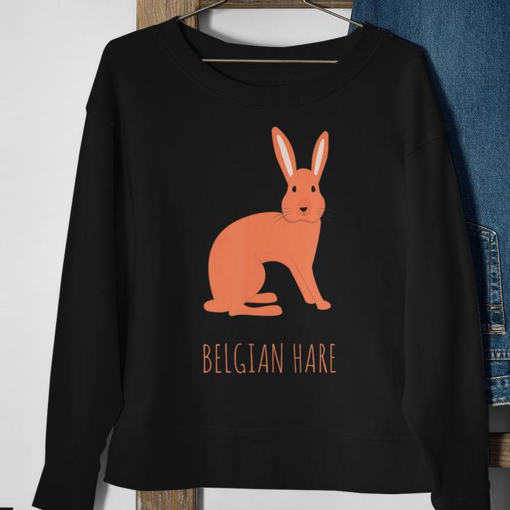 Belgian Hare Rabbit Stone Rabbits Bun Bunny Sweatshirt Gifts for Old Women