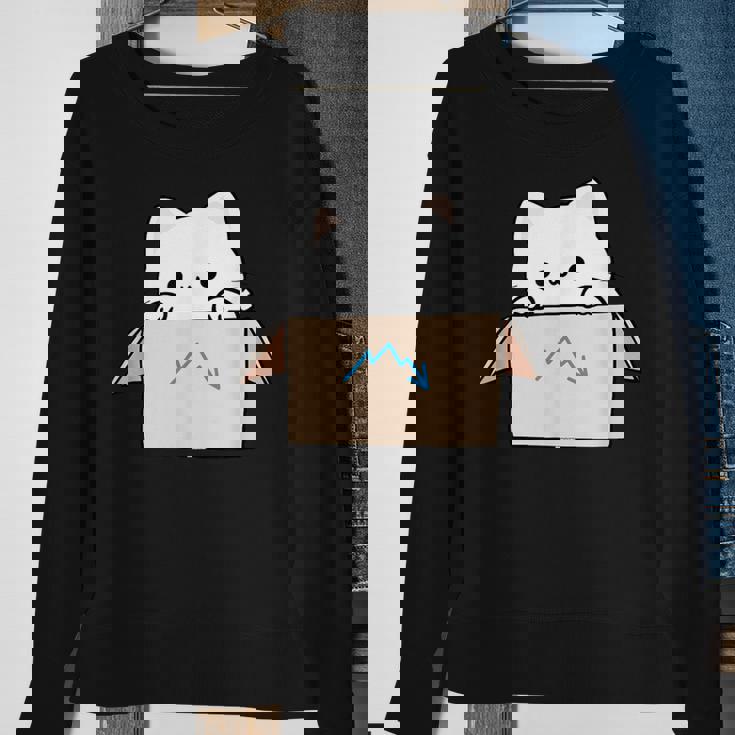 Coworker Pet Swagazon Associate Cute Cat In Cardboard Box Sweatshirt Gifts for Old Women