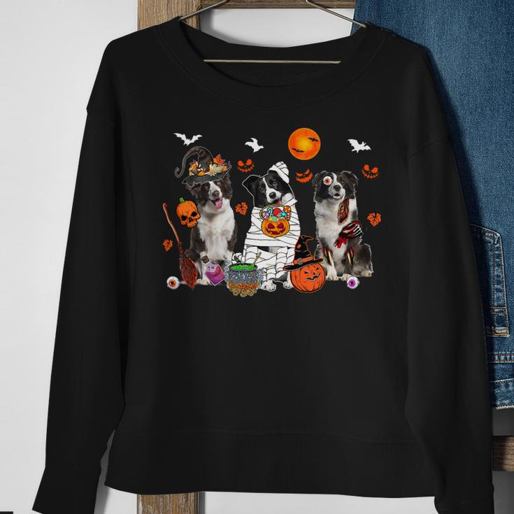 Dog Border Collie Three Border Collie Dogs Witch Scary Mummy Halloween Zombie Sweatshirt Gifts for Old Women