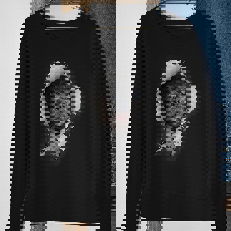 French Bulldog Dog Owner Cute French Bulldog Sweatshirt Gifts for Old Women