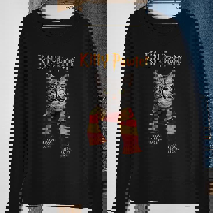 Funny Cat Funny Kitten Cat Lover Kitten Sweatshirt Gifts for Old Women