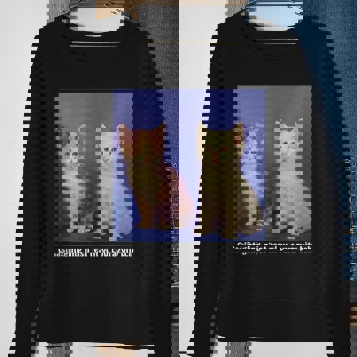 Gaslighting Isnt Real You Crazy BITCH Funny Cat Lover Gifts For Cat Lover Funny Gifts Sweatshirt Gifts for Old Women Gaslighting Isnt Real You Crazy BITCH Funny Cat Lover Gifts For Cat Lover Funny Gifts Sweatshirt Gifts for Old Women