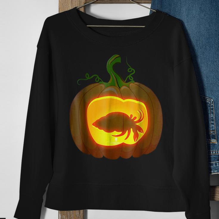 Hermit Crab Halloween Gifts For Hermit Crab Lovers Funny Gifts Sweatshirt Gifts for Old Women