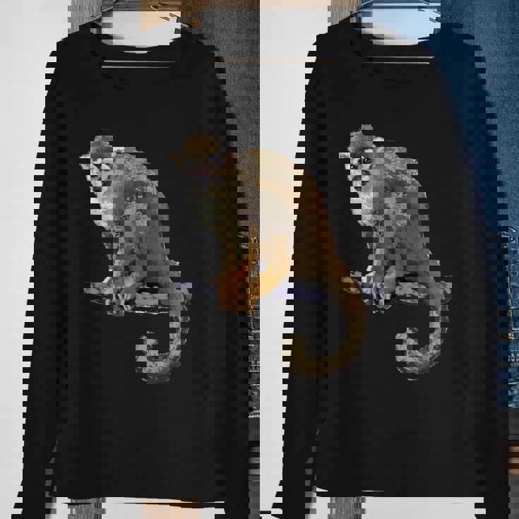 Squirrel MonkeySweatshirt Gifts for Old Women