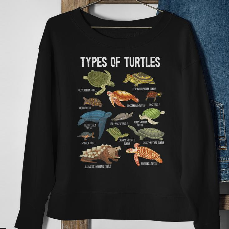 Turtle Lover Turtle Art Types Turtle Turtle Sweatshirt Gifts for Old Women