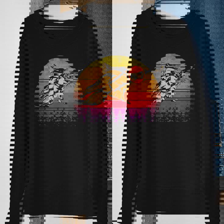 Vintage Sunset Squirrel Flying On Retro Sweatshirt Gifts for Old Women