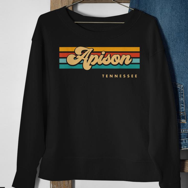 Vintage Sunset Stripes Apison Tennessee Sweatshirt Gifts for Old Women