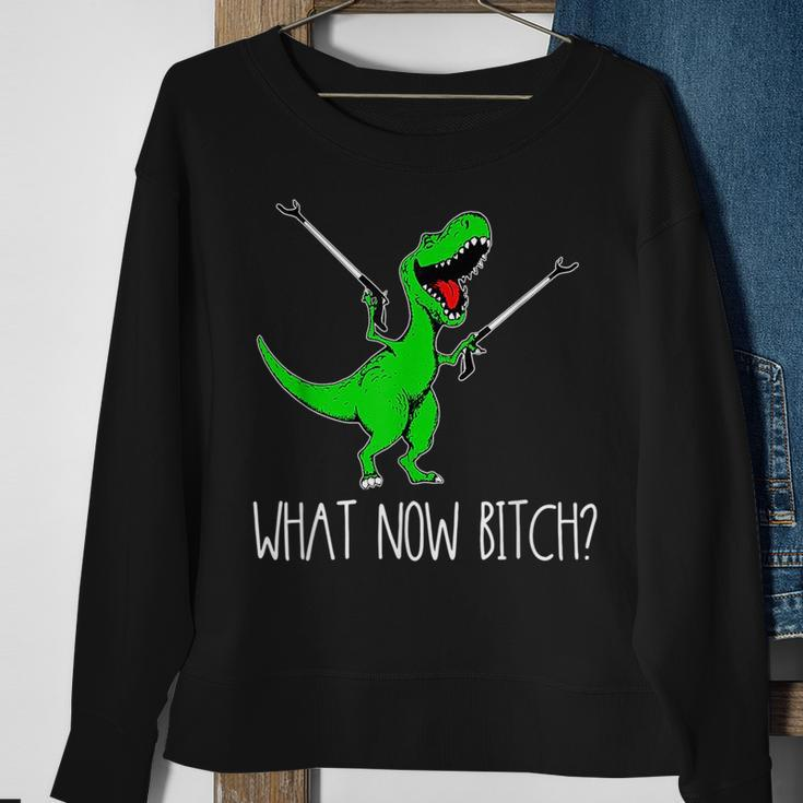 What Now Bitch FunnyRex Dinosaur Sweatshirt Gifts for Old Women