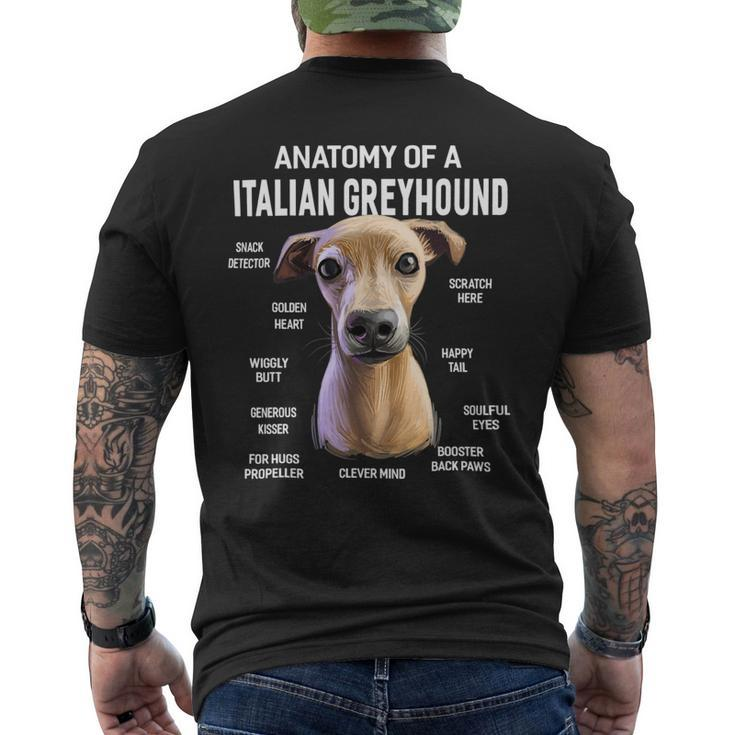 Dogs Anatomy Of A Italian Greyhound Dog Funny Gift Mens Back Print T-shirt