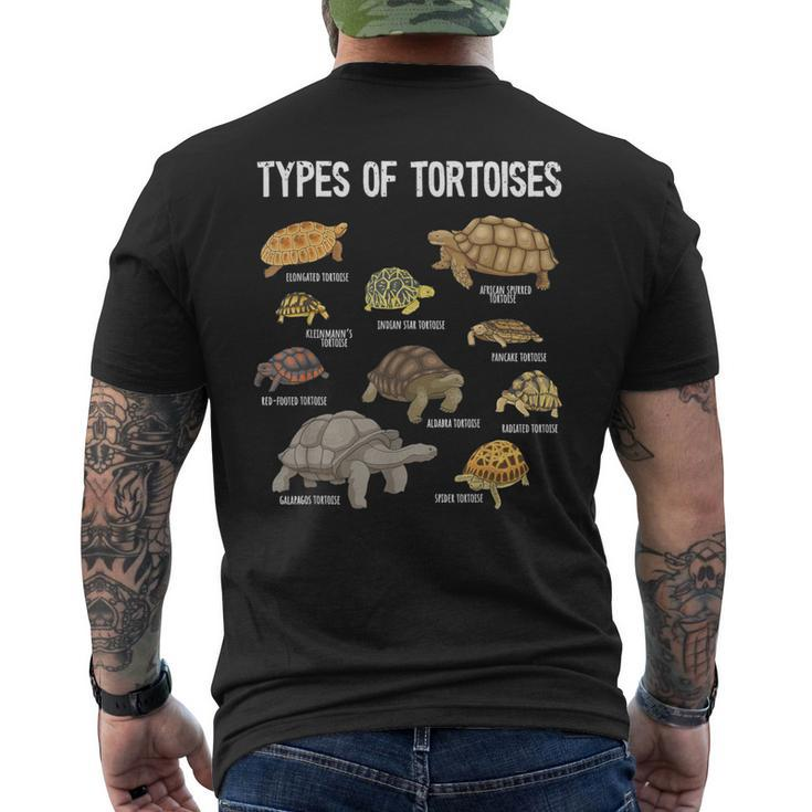 Tortoise Lover Types Of Tortoises Turtle Tortoise Men's T-shirt Back Print