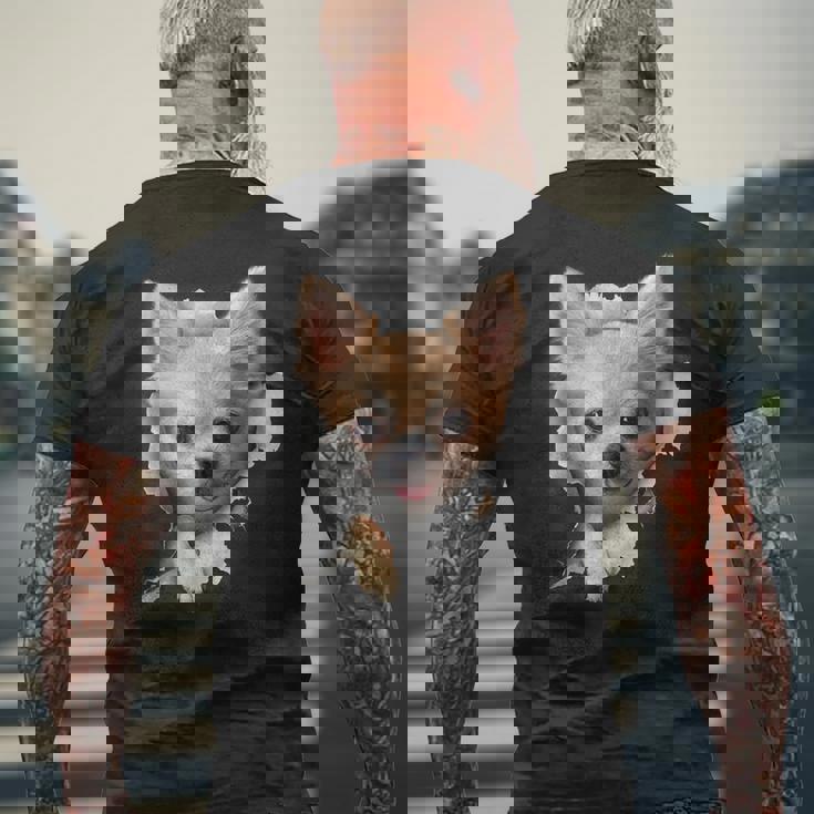 Chihuahua Lover Chihuahua Owner Chihuahua Men's T-shirt Back Print