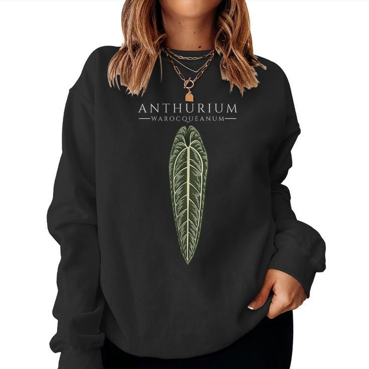 Anthurium Warocqueanum Aroids Plants Lover Philodendron Women Sweatshirt