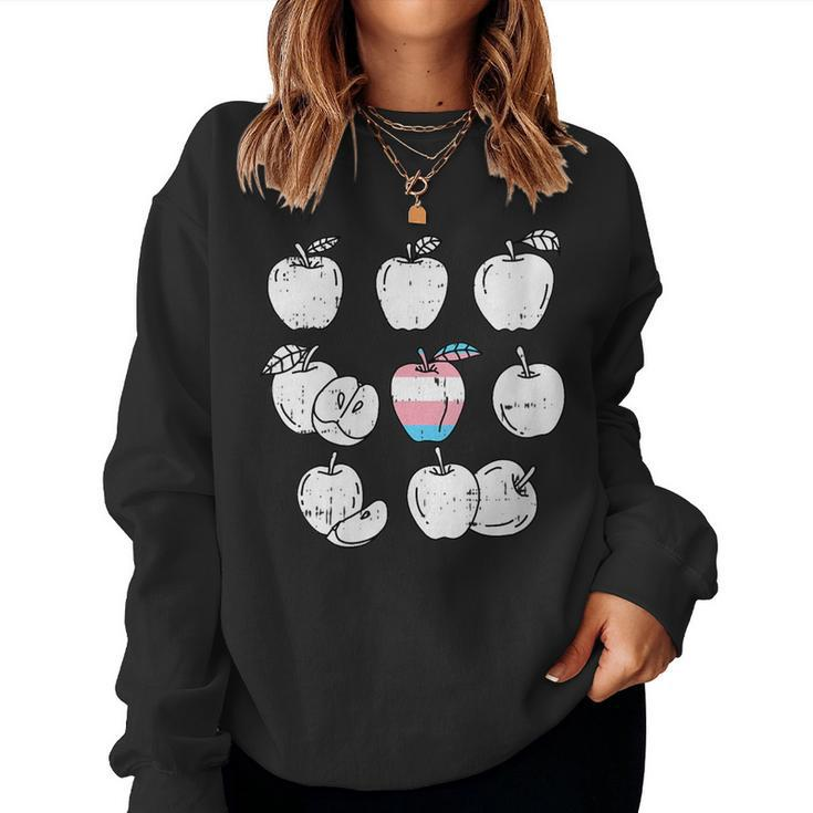 Apple Picking Transgender Lgbt-Q Retro Gay Pride Flag Fruit Women Sweatshirt