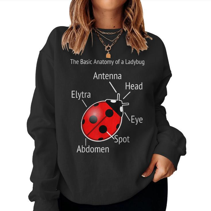 Ladybug Anatomy Teacher Help Women Sweatshirt